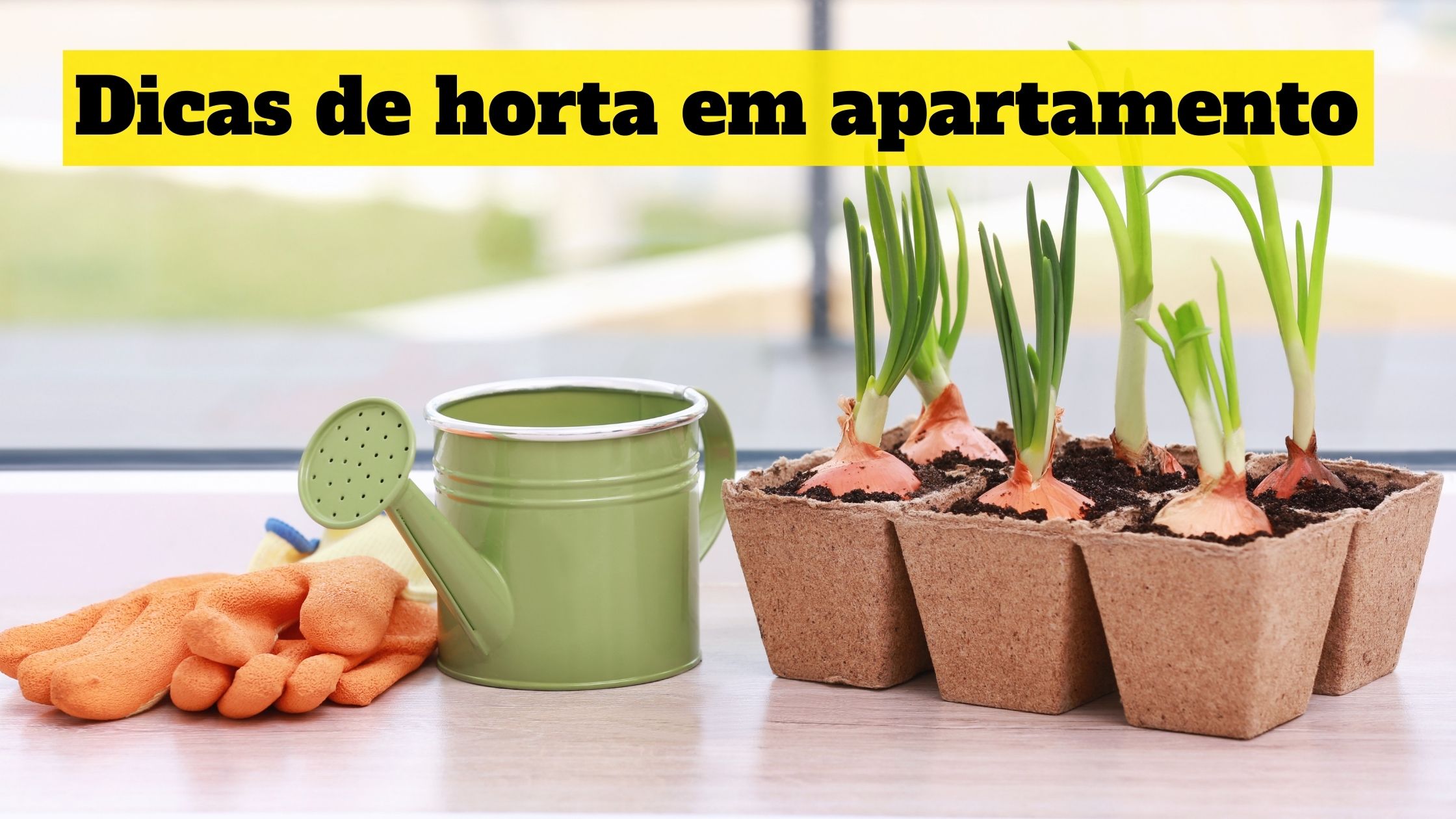 Como Plantar Abacate No Vaso DicasParaViverBem