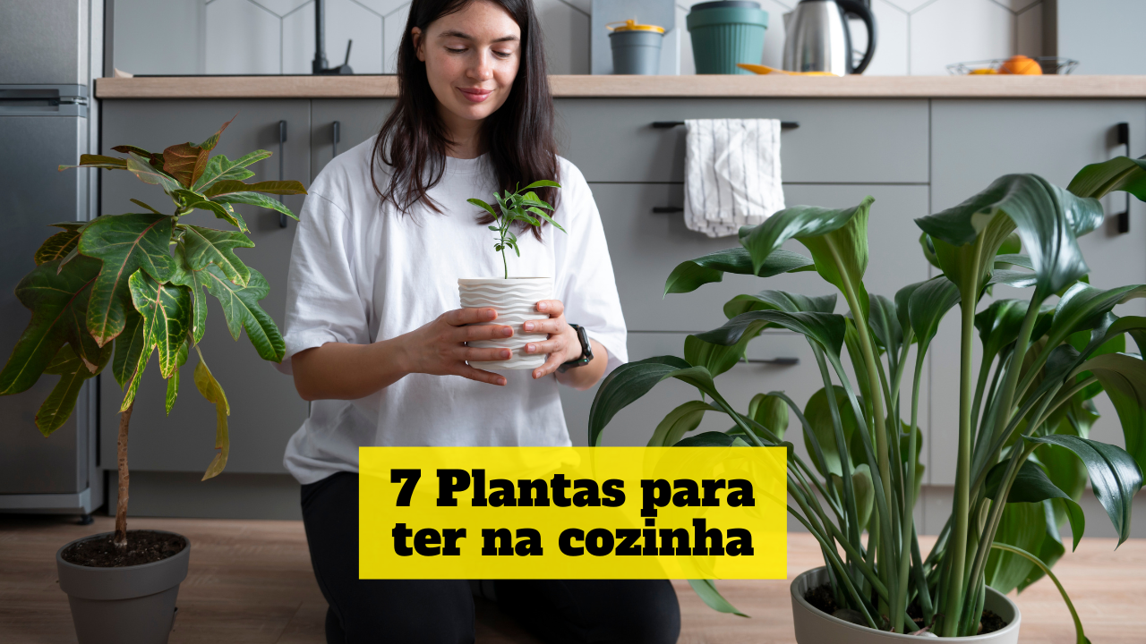 Plantas Para Ter Na Cozinha Dicasparaviverbem